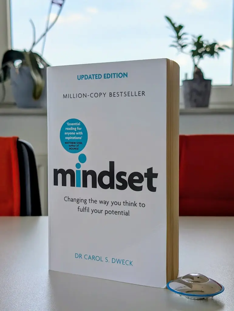 DIE UFOS Agentur aus Lüneburg bei Hamburg und Hannover liest das Buch Mindset für das Online Marketing